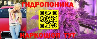 a pvp Тулун