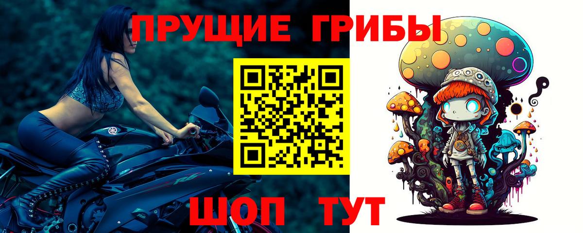Галлюциногенные грибы GOLDEN TEACHER Борисоглебск
